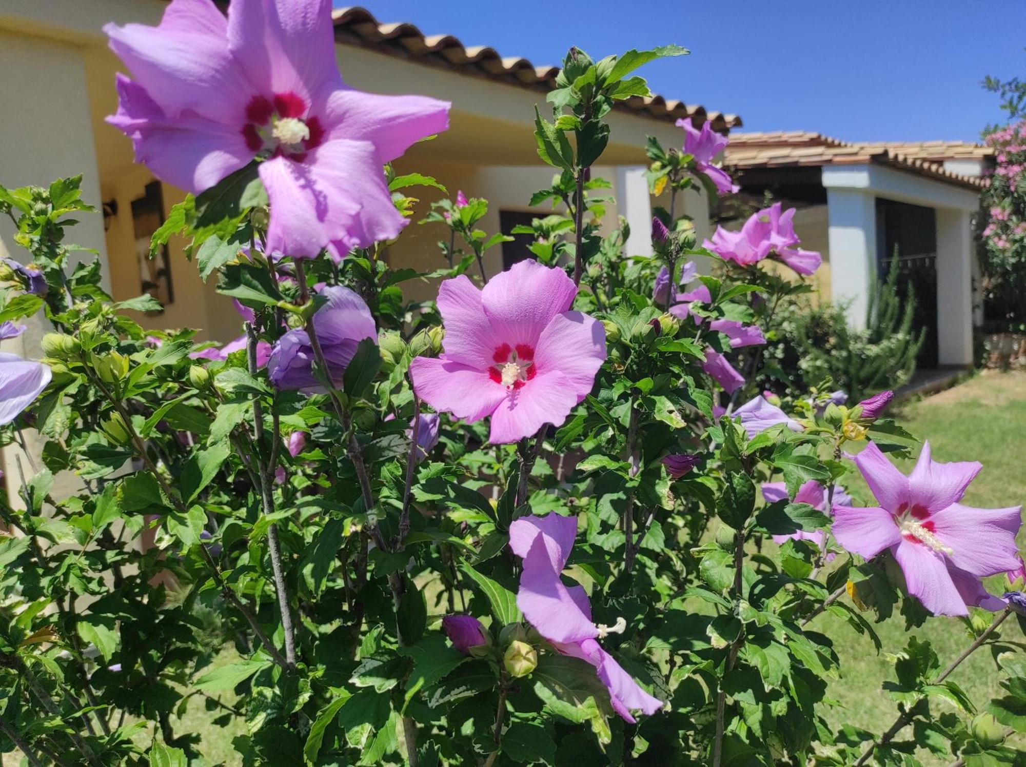 Sa Teria Village Tertenia Exterior photo